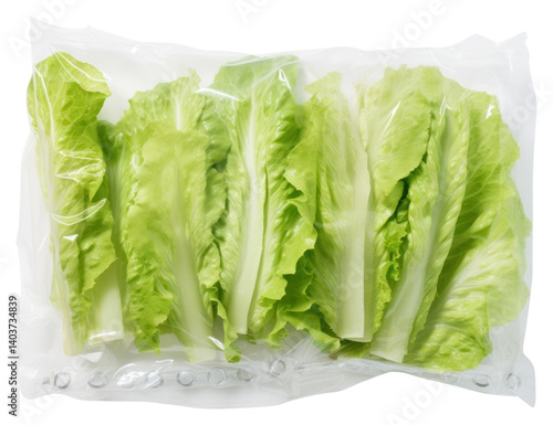 Obraz na płótnie PNG Plastic wrapping over a lettuce vegetable plant food. w salonie