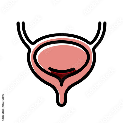 Bladder Icon Representing Urinary System Anatomy or Function