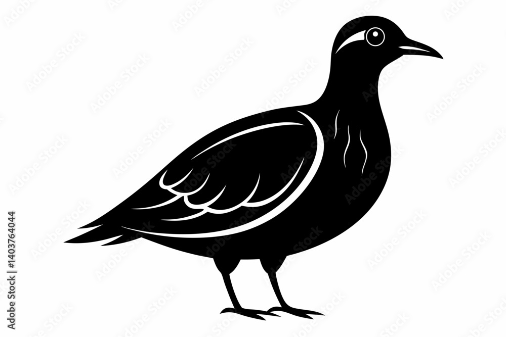 Fototapeta premium American woodcock silhouette black vector