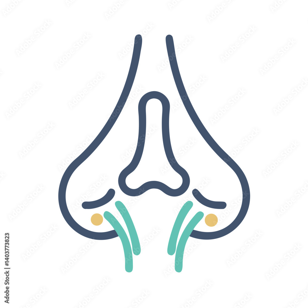 Nose with Nasal Passage Icon Representing Respiratory System and Nasal Function Nose with Nasal Passage Icon Representing Respiratory System and Nasal Function