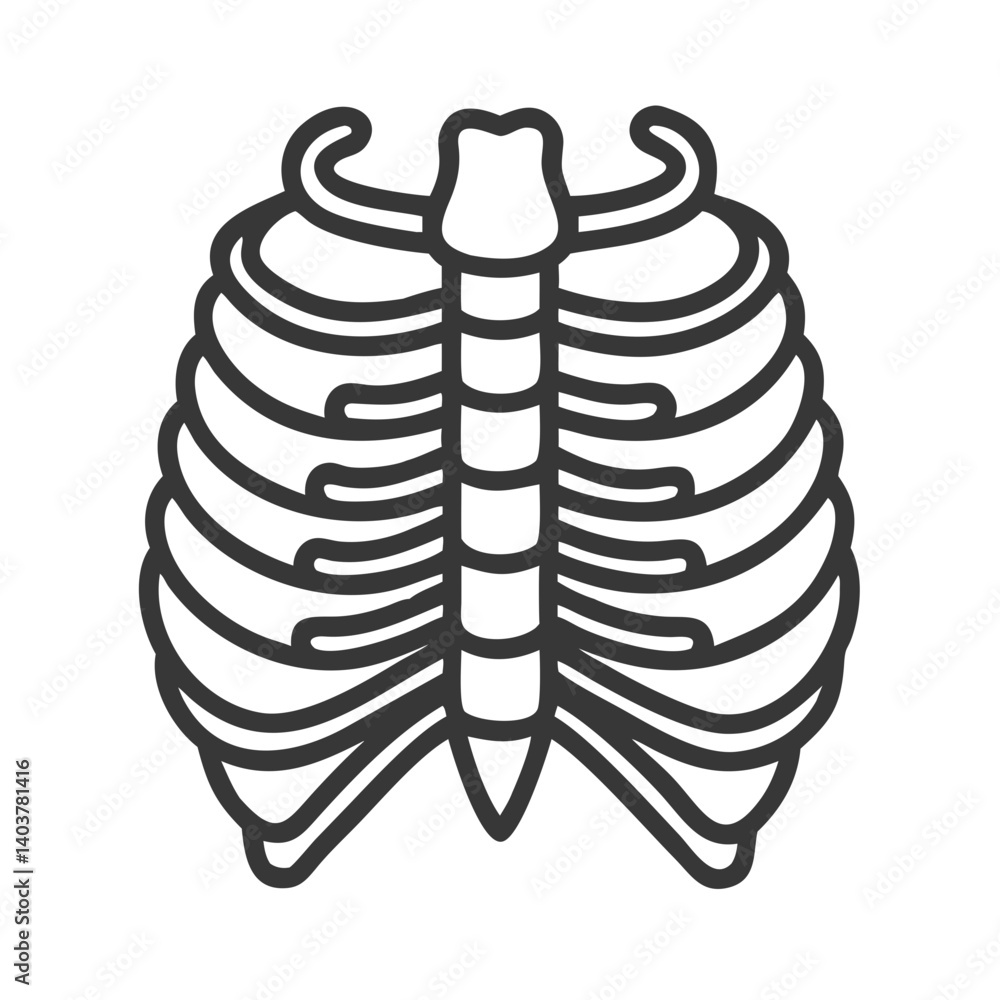 Rib Cage Icon Representing Thoracic Skeletal Structure and Human Anatomy Rib Cage Icon Representing Thoracic Skeletal Structure and Human Anatomy