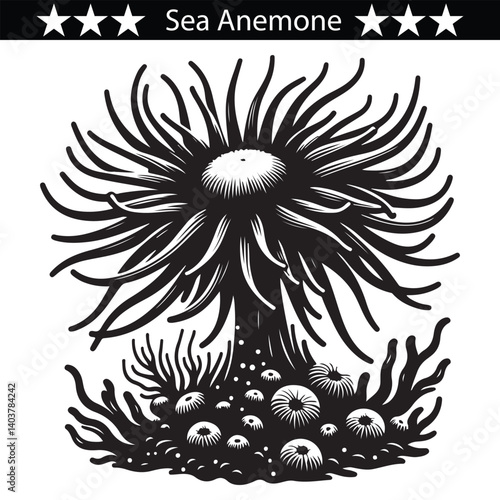 Sea Anemone silhouette design, eps 10
