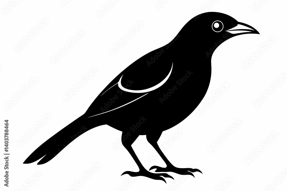 Obraz premium white bell bird silhouette black vector
