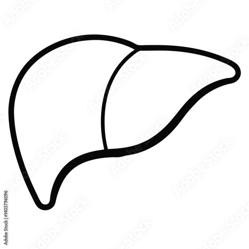 Obraz na płótnie vector illustration of a liver on white background w salonie