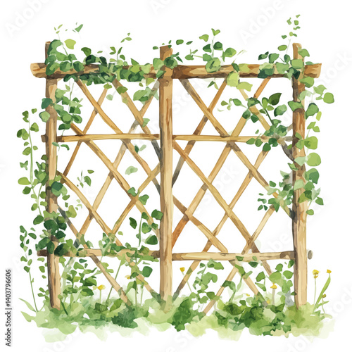 watercolor of Garden Trellis With Climbing Vines, vector, isolated on a white background.