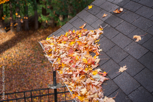 Clogged Gutters