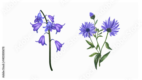 blue iris flowers