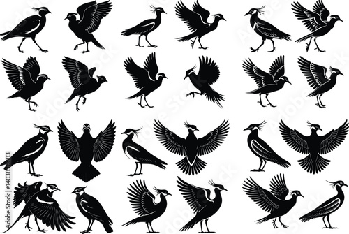 Lapwing Bird Silhouette Vector Illustration Elegant Lapwing Silhouette for Nature and Wildlife Design