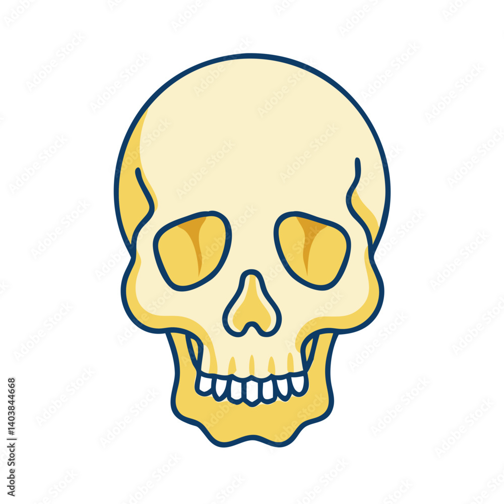 Fototapeta premium Frontal view of human skull in flat style