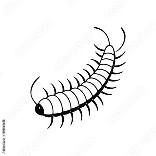 centipede line art on white background (1).eps
