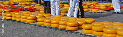 Transporting and weighing cheese during Friday's Cheese Market in Alkmaar, Netherlands. Cheese auction