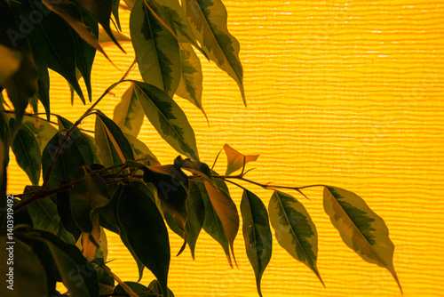 A tree branch with green leaves on a bright yellow background