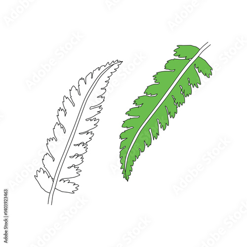 continuous line drawing of vector illustration of different type of leaves.