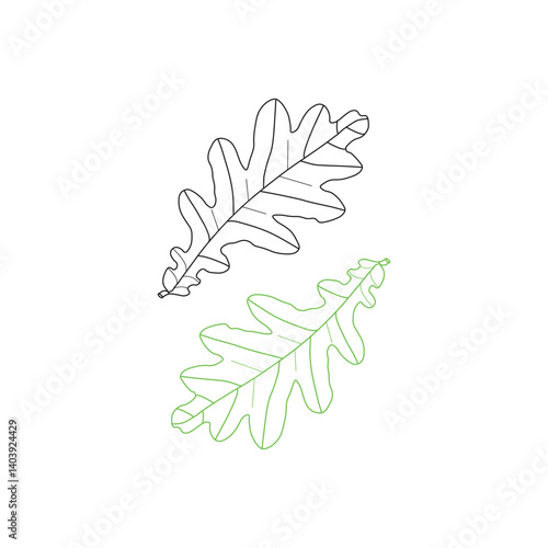 continuous line drawing of vector illustration of different type of leaves.