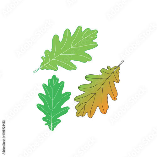 continuous line drawing of vector illustration of different type of leaves.