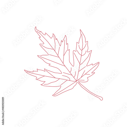 continuous line drawing of vector illustration of different type of leaves.