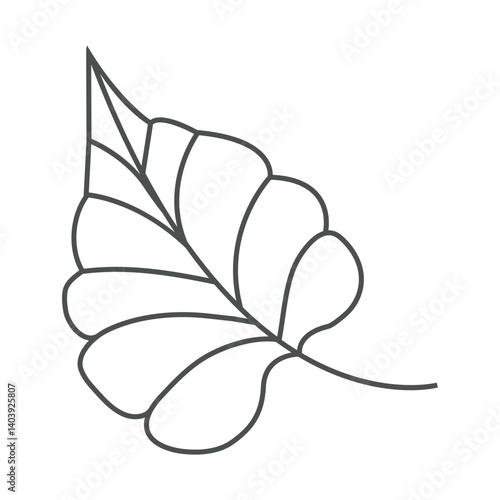 continuous line drawing of vector illustration of different type of leaves.
