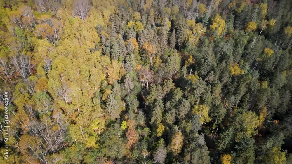 Above the autumn forest. A stunning bird’s-eye view of an autumn forest, with trees in full color, covering the landscape. Above the autumn forest. A stunning bird’s-eye view of an autumn forest, with trees in full color, covering the landscape.