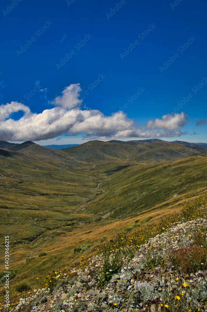 Fototapeta premium The valley of the Snowy River, as seen from Rawson’s Pass along the Main Range Track in Kosciuszko National Park, New South Wales, Australia. Vast mountain scenery above the tree line. 