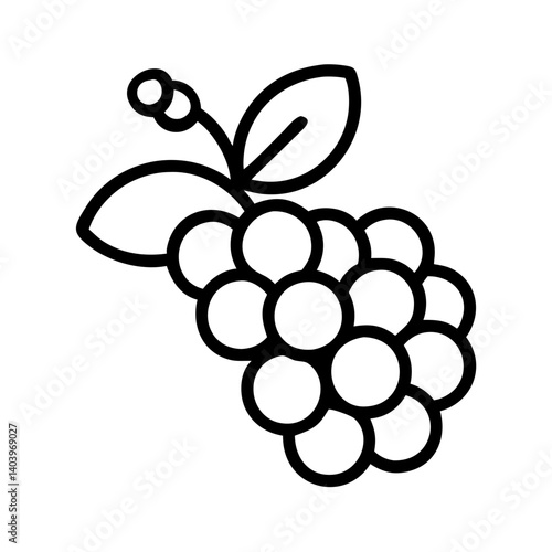 Outline drawing of grapes with leaves, grape bunch illustration, grape cluster vector icon design