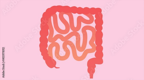 Inflammation and pain in the intestines. Animation 2D
