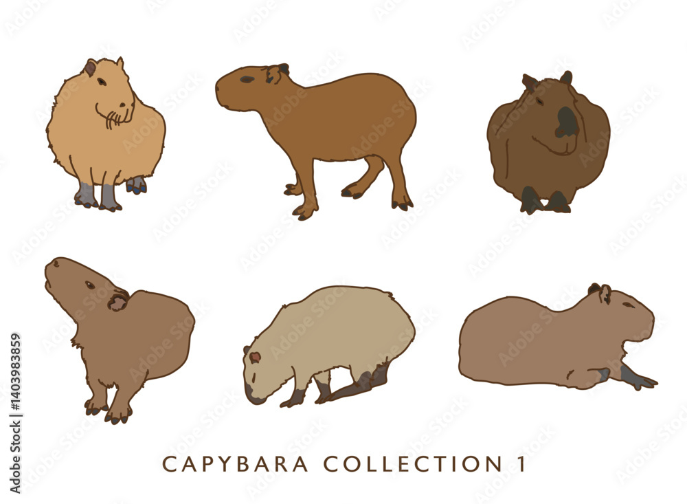 Fototapeta premium Capybara Color Illustrations 1 