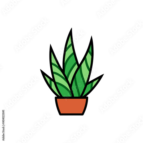 aloe vera in a pot