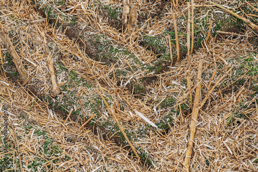 Tillage Echoes: Background or Texture of Agricultural Tractor Track on Moist Soil. Tillage Echoes: Background or Texture of Agricultural Tractor Track on Moist Soil.