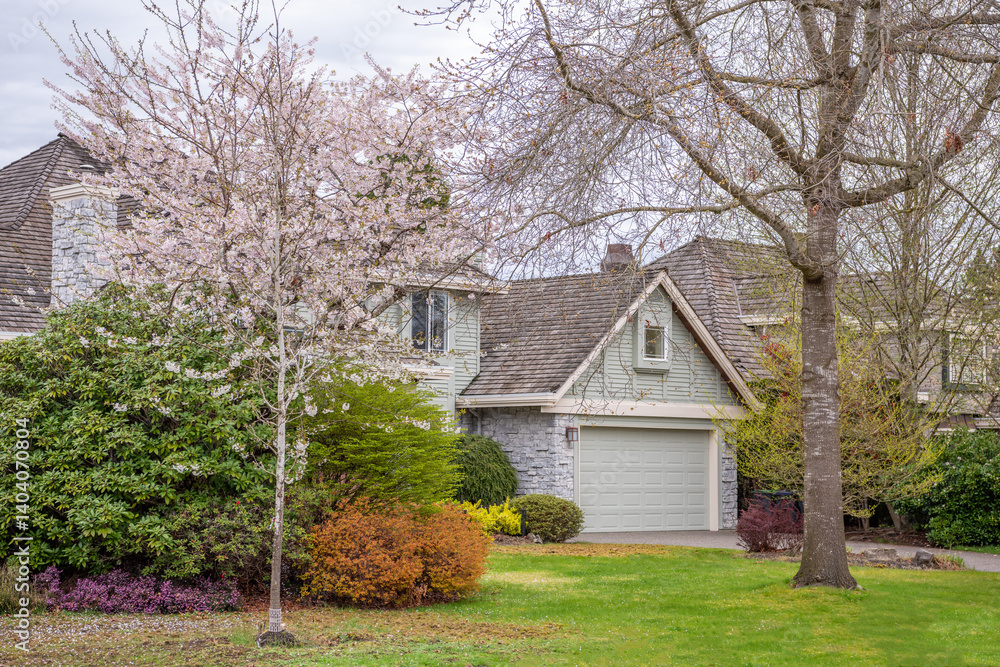 Fototapeta premium Two story stucco luxury house with nice spring blossom landscape in Vancouver, Canada, North America. Day time on April 2025.
