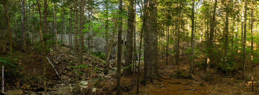 Hemlock Bridge Hidden In The Trees Of The Surrounding Forest