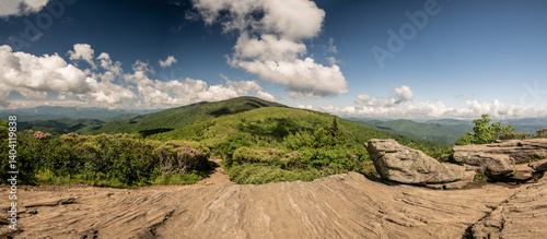 Obraz na płótnie Low Angle View Of The Rocks On Jane Bald Looking Down The Appalachian Trail Toward Round Bald w salonie