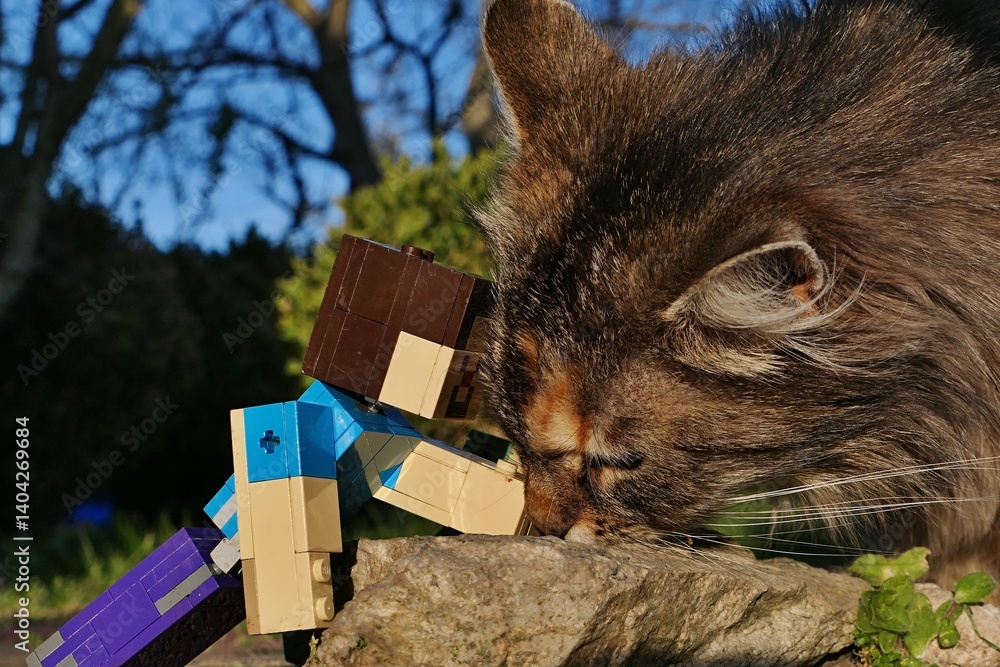 Fototapeta premium LEGO Minecraft action figure of main character Steve feeding young fluffy tabby crossbreed garden cat with dry granules on flat stone in spring sunlit garden. 