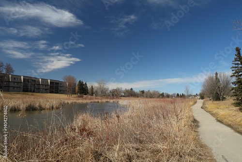 Wallpaper Mural walking trail and dry grass along creek in spring Torontodigital.ca