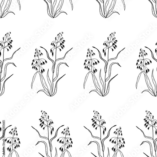 Seamless pattern with detailed realistic vector black and white illustration of oat plant. Hand drawn picture of wheat ears in engraved vintage style. Sketch of agricultural plant.
