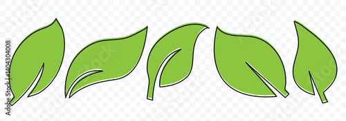 Leaf icons set ecology nature element. Green leafs icons collection. Elements design for natural, eco, bio, vegan labels. Vector illustration. 
