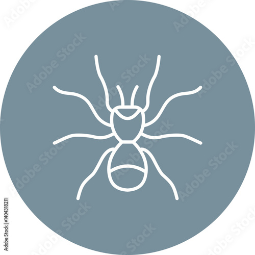 Spider Icon