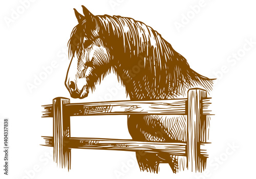 Cuadro en lienzo Clydesdale horse hand drawn sketch illustration vector
