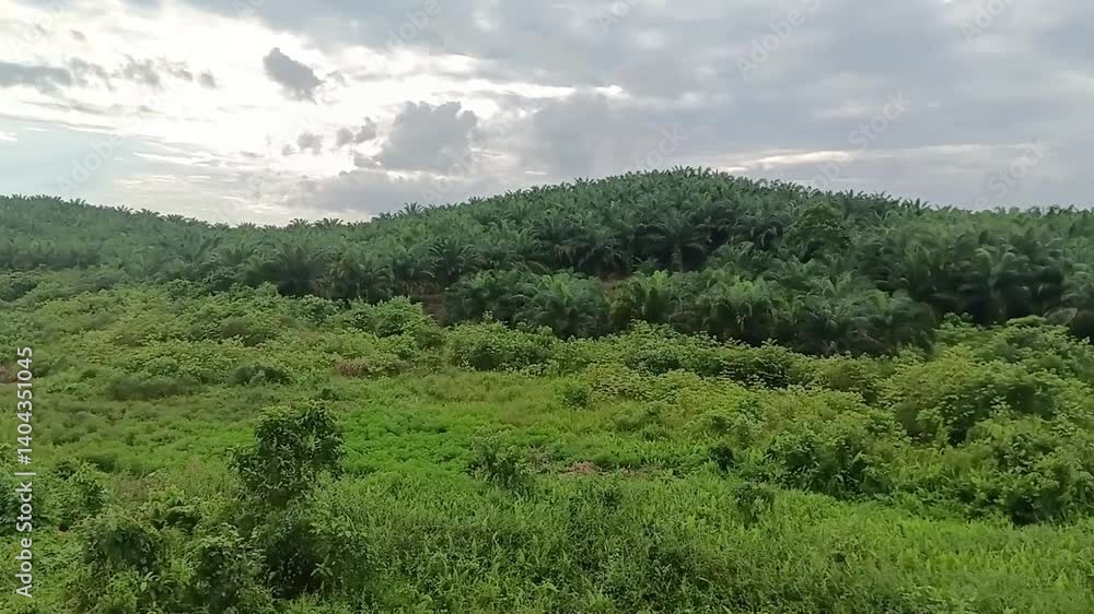 mountain landscape with trees and clouds mountain landscape with trees and clouds