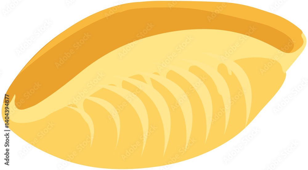 Lumache Snail Shell Pasta Isolate Lumache Snail Shell Pasta Isolate