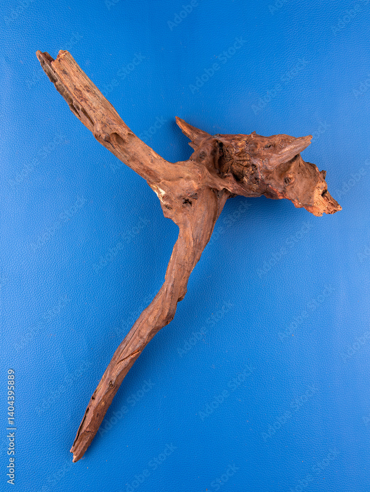 Fototapeta premium Detailed view of rustic driftwood, perfect for aquariums or terrariums no purple background.