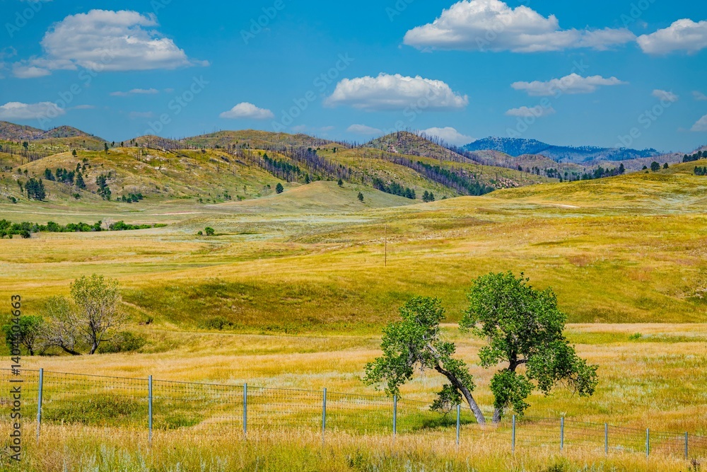 Fototapeta premium South Dakota landscape