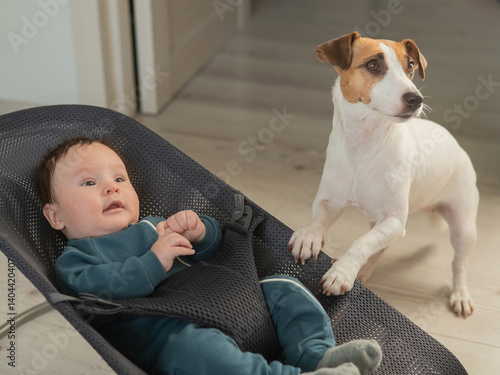A dog rocks a cute three month old boy dressed in a blue onesie in a baby bouncer. 