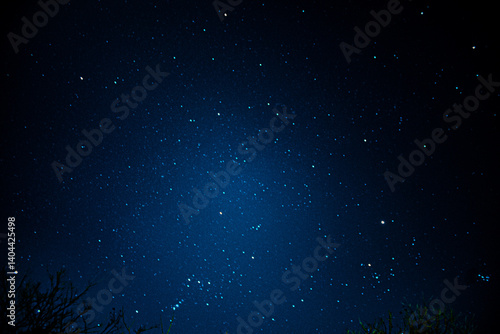 Stars #3
