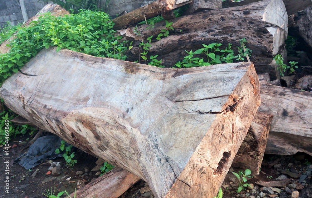 Obraz premium Old wood