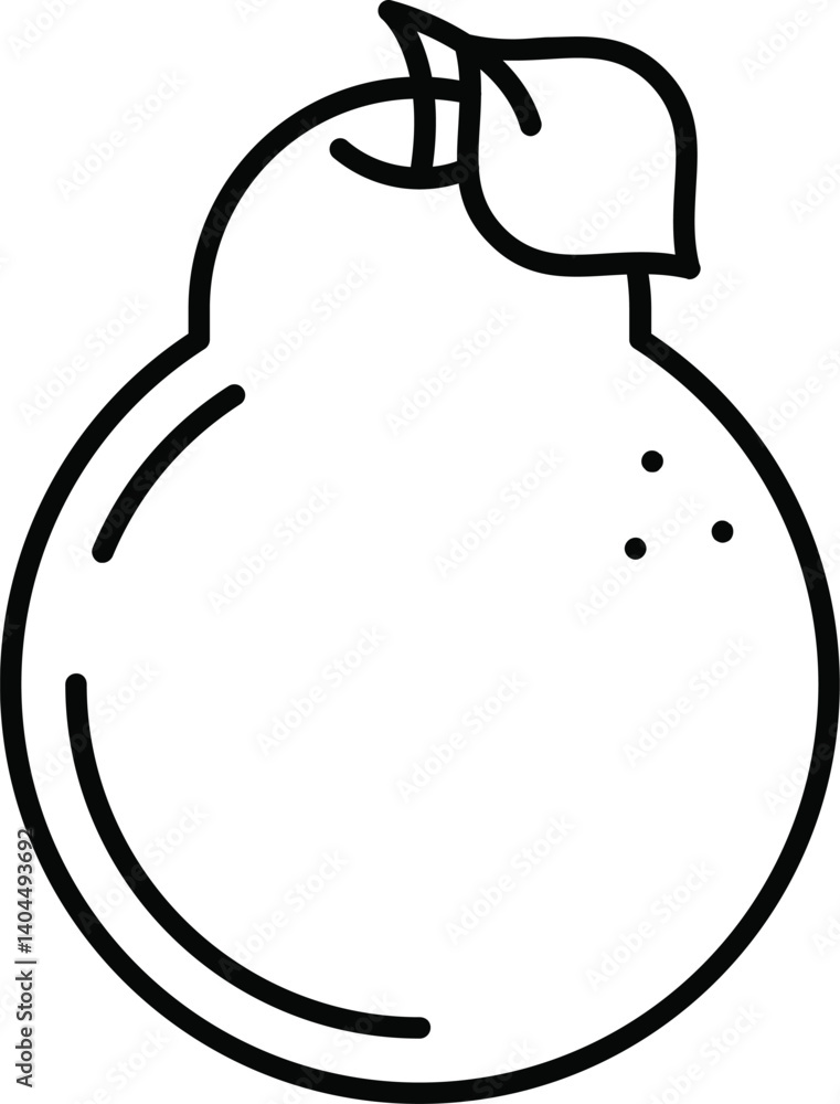 vector illustration of Avocado vector illustration of Avocado