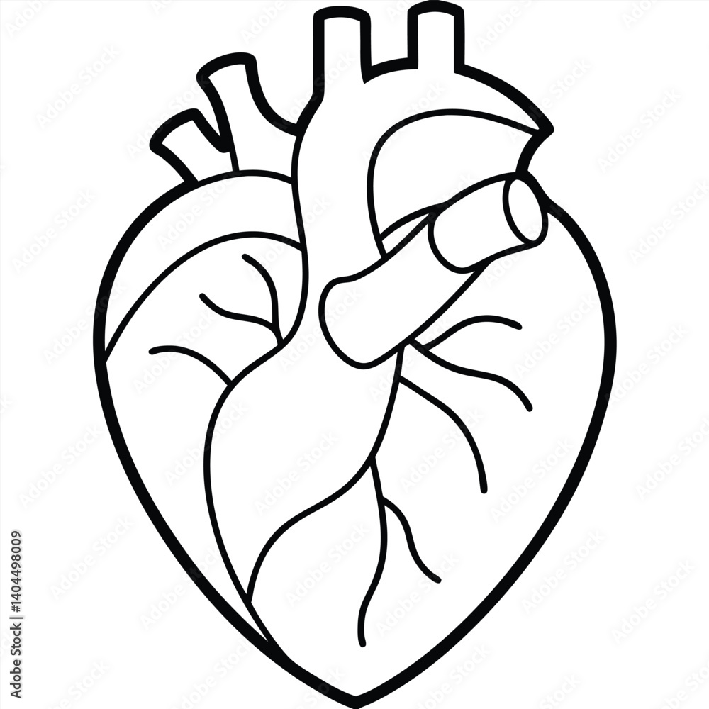 Fototapeta premium Human Heart Line Art Vector Illustration