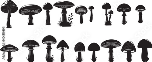 set silhouettes of forest mushrooms.
