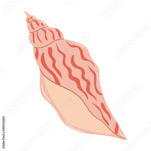 Detailed illustration of a pink seashell with intricate patterns from a coastal environment