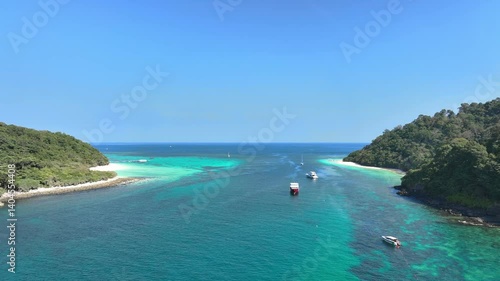 Aerail view of green forest and the sea. natural ecosystems of forests and oceans. concept of natural forest conservation
