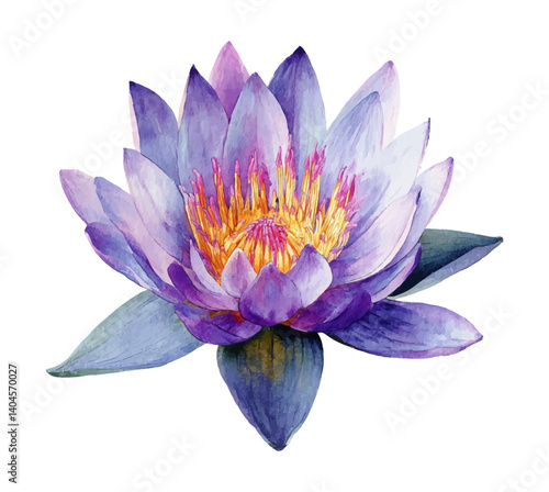 A single water lily flower in full bloom, purple, pink and yellow in watercolor style
